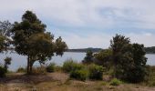 Randonnée Marche Tallone - Corse - Près d Aleria - Etang de Diane - Photo 1