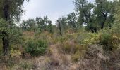 Excursión Senderismo Biure - bourse.  castel de mont roigt  /  retour par ma vallée  - Photo 20