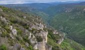 Trail Walking Millau - le chaos de Caoussou - Photo 7