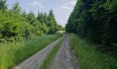 Tour Wandern Somme-Leuze - baillonville à la saison du chèvrefeuille  - Photo 4