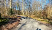 Percorso Marcia Compiègne - en forêt de Compiègne_47_autour des Beaux Monts - Photo 6