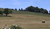 Randonnée Marche Chasselay - Le bois Chatelard - Photo 1