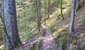 Randonnée Vélo électrique La Bresse - petit tour de la bresse - Photo 10