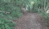 Tocht Stappen Hoei - Ben Ahin (poterie); La Sarte à Ben - Photo 10