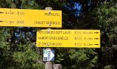 Trail Walking Les Adrets - LE GROS CAILLOU PAR LA COLONIE - Photo 13