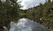 Tocht Stappen Bellefontaine - 11-07-21 pont de Jeanson - Photo 1