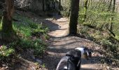 Trail Walking Houffalize - Belvedere 4 km - Photo 17