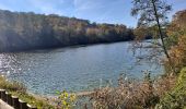 Tour Wandern Versailles - Étangs de la Minière  - Photo 3