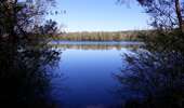Tour Wandern Sotteville-sous-le-Val - 20260407-sotteville sous le val cool - Photo 12