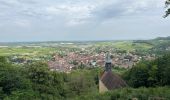 Tour Wandern Arbois - Arbois  - Photo 1