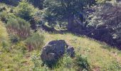 Percorso Marcia Le Falgoux - Franconèche- Gr400-chemin des Italiens bis - Photo 17