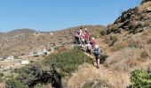 Tocht Stappen Unknown - Amorgos - Ruines de Minos et plage - Photo 16