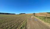 Tocht Stappen Gerpinnes - Wagnèe Fromiée  - Photo 1