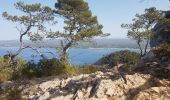 Tocht Stappen Saint-Cyr-sur-Mer - Calanque Port d'Alon boucle par la pointe fauconfanière et le sentier des vignes   - Photo 3