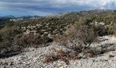 Randonnée Marche Bédoin - les ramayettes - Photo 6