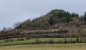 Tour Wandern Pignols - La Chaux Montgros Pic Mecurol_T - Photo 4