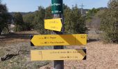 Tour Wandern Gréoux-les-Bains - Les Antennes par les Tronnes  - Photo 4