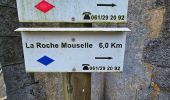 Randonnée Marche Bièvre - Promenade de la Roche Mouselle - Petit-Fays - Photo 4