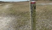 Trail Walking Cayeux-sur-Mer - Crayeux sur mer - Photo 6