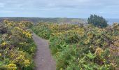 Tour Wandern Fréhel - GR_34_BE_11_Frehel_Plevenon_20230508 - Photo 12