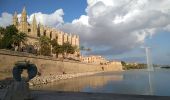 Tour Wandern Unknown - Palma - Photo 8