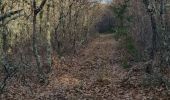 Tour Wandern Manosque - Stationnement Pelicier, direction Dauphin - Photo 2