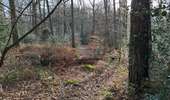 Tour Wandern Welkenrath - Welkenraedt - Eupen gare à gare 24 km - Photo 11