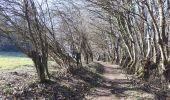 Tocht Stappen Hamoir - HAMOIR (Vallée du Neblon) - Photo 5