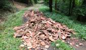 Tour Wandern Lacombe - En forêt de la Loubatière - Photo 6