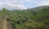 Tour Wandern Moux - Sur les pas de Roland - Signal d'Alaric - La Caune  - Photo 15