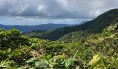 Tocht Stappen Le Lorrain - Carabin - Morne Jacob N2 - Photo 18