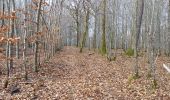 Trail Walking Maraye-en-Othe - Maraye,Nogent,Vosnon,Puiseaux,Chenu,Chamsicourt - Photo 9