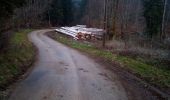 Percorso Marcia Braillans - BRAILLANS Forêt de MARCHAUX - Photo 8