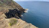 Tocht Stappen Horta (Angústias) - Horta, Faial: Monte Queimado et Monte da Guia (PRC 08 FAI) - Photo 17