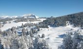 Tour Schneeschuhwandern Saint-Agnan-en-Vercors - Beure - Écondus - Photo 10