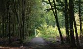 Tocht Stappen Terhulpen - La Hulpe - Circuit Natura 2000, des sites qui valent le détour - Bw02 - Photo 4