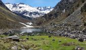 Tocht Stappen Estaing - 190514-Lac Estaing/Lac du Plat de Praat - Photo 8