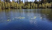 Tour Wandern Vexaincourt - Vexaincourt - lac et chapelle de la Maix - Photo 9