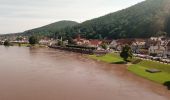 Tour Zu Fuß Freudenberg - Rundwanderweg Freudenberg Liebeseiche F1: Schloss-Weg - Photo 8