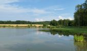 Tour Mountainbike Saint-Clément - sortie vtt du 14/07/2018 Embermenil - Photo 2