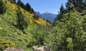Tour Wandern Torla-Ordesa - Torla collado del cebolar 16 km 1000 m den - Photo 8