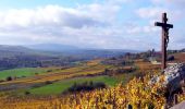 Tour Zu Fuß Wachenheim - Zellertalweg Wachenheim - Photo 8