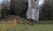 Tour Wandern Oissel - Rando Alain du 15 mars 2021 Oissel - Photo 2