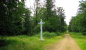 Trail On foot Tracy-le-Mont - le GR655 dans les Forêts de Laigue et de Compiègne - Photo 8