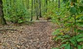 Trail Walking Vendôme - Petit parcours dans la partie Sud-est du Bois de l'Oratoire - Photo 19