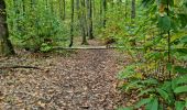 Tocht Stappen Vendôme - Petit parcours dans la partie Sud-est du Bois de l'Oratoire - Photo 19