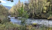 Tour Wandern Goumois - Circuit du barrage de la Goule - Photo 5