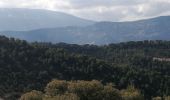 Excursión Senderismo Buis-les-Baronnies - le saint julien - Photo 3