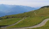 Tocht Noords wandelen Arbaz - tour des Alpages  - Photo 3