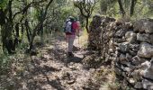 Tocht Stappen Génolhac - Régordane 5 - Génolhac-Drulhes - Photo 6